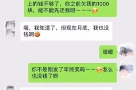 宣城如何避免债务纠纷？专业追讨公司教您应对之策